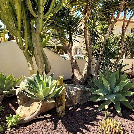 Villa Gran Palmeras With Private Pool & Amazing View Calp Exterior foto